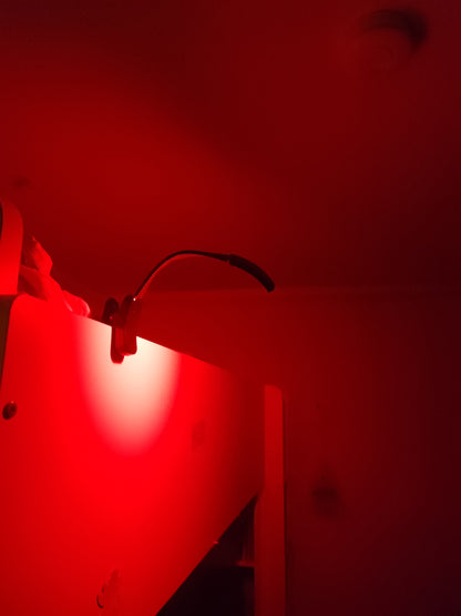 Red light reading light - Read and sleep right - Home Light Therapy