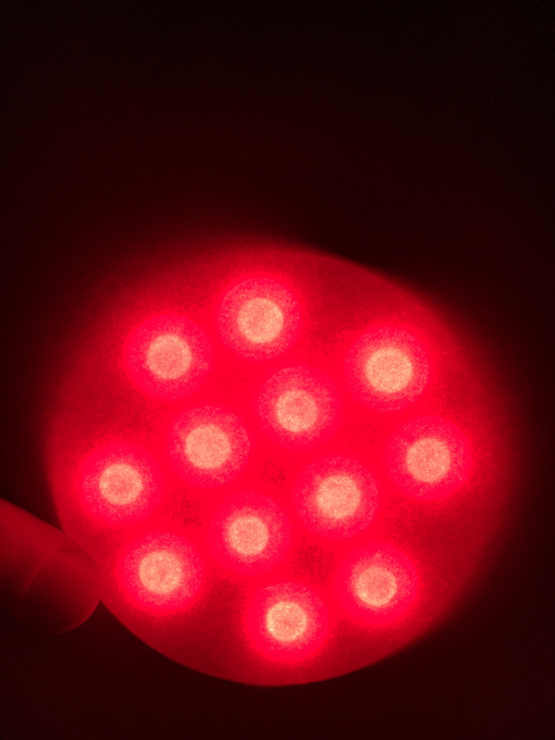 OptiBio "Micro" Handheld Red/NIR lamp - Home Light Therapy
