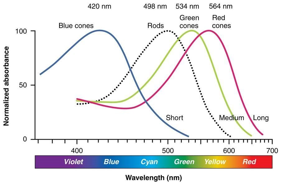 2 minute read - Removing blue light to supercharge your sleep - Home Light Therapy