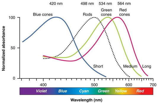 2 minute read - Removing blue light to supercharge your sleep - Home Light Therapy