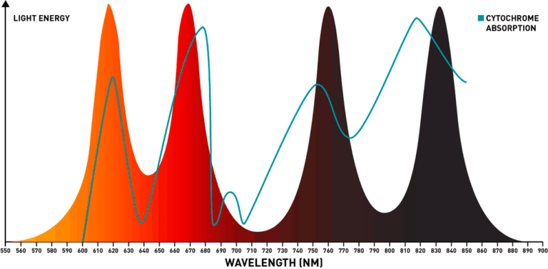 Choosing a red light device