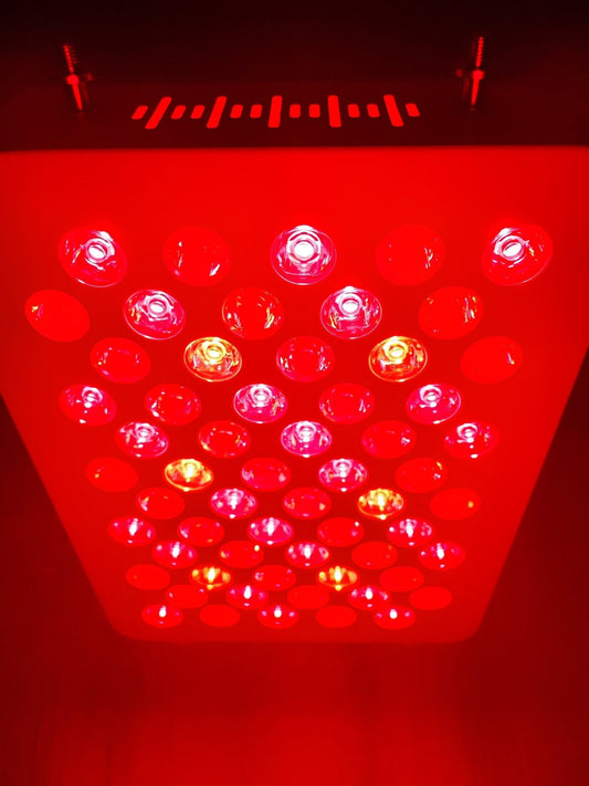 Hva er rødlysterapi? Terapi med Rødt Lys! - Home Light Therapy