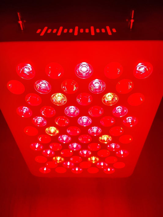 Hva er Rødlysterapi? Guide for Norske Lysforhold - Home Light Therapy