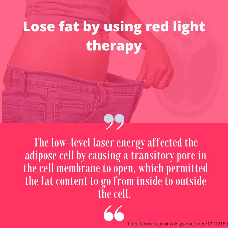 Light, circadian rhythm and weight loss - Home Light Therapy