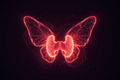 Hashimoto's thyroid condition and red light therapy