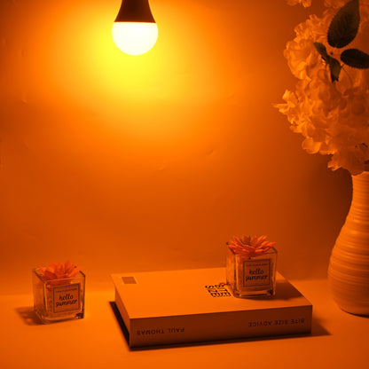 Blue Light reduced/free evening Light (e27, e14) - Home Light Therapy