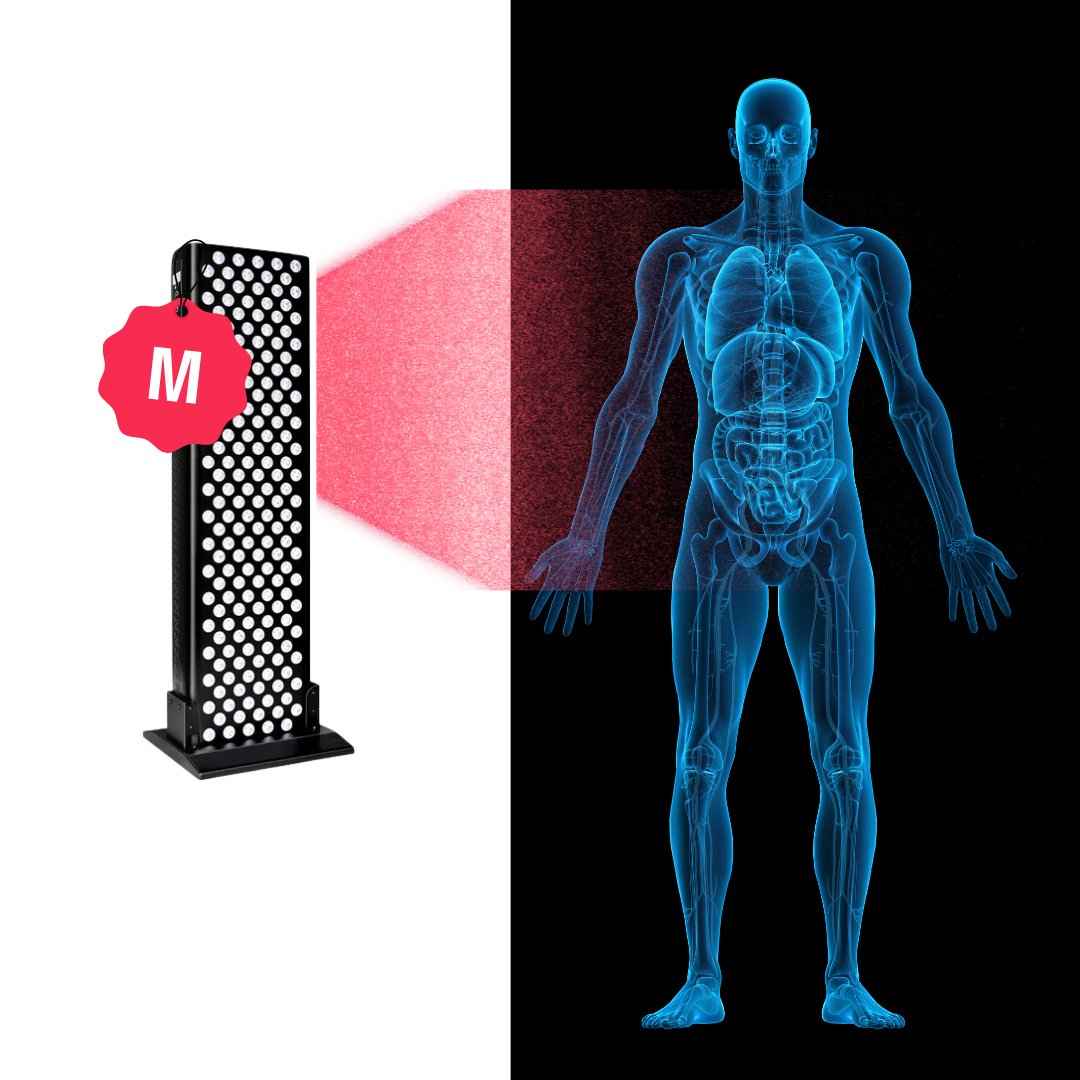Half Body Gen 3 - The Next Level in Red Light Therapy - Home Light Therapy